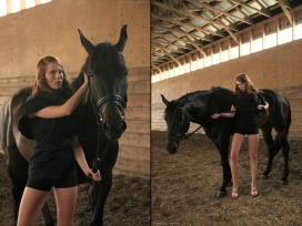葡萄牙Equestrian女人马棚艺术摄影