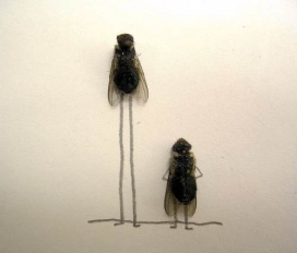 分享下国外创意大师-利用昆虫死苍蝇活用“人性化”艺术品