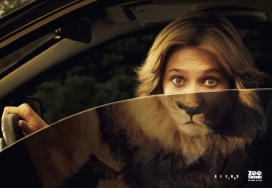 加拿大Zoo Safari动物园Safari浏览器广告设计欣赏