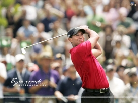 美国高尔夫球手Tiger Woods艾德瑞克・泰格・伍兹高清晰运动图片