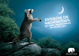 国外Kölner Zoo动物园平面广告-晚上导游