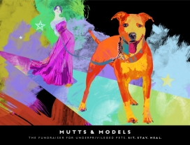 Mutts & Models关注宠物公益排名广告