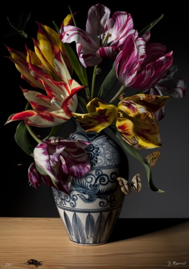 欧美Floral Still Life Photography花卉静物摄影