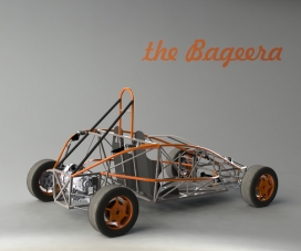 “裸车”-Bageera管框架的运动车