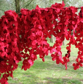阿姆斯特丹Nasia Burnet设计-100％羊毛纺织品花瓣