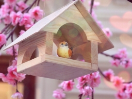 鸟类的房子-桃花树下的鸟窝壁纸