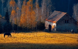 秋季的农场小木屋