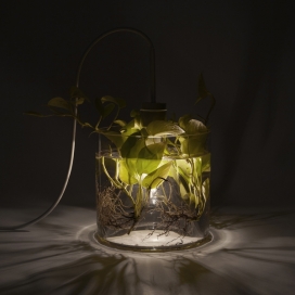 光和特殊花瓶-德国科隆DUA设计师作品