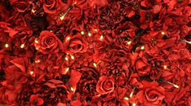红色玫瑰灯