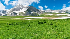 雪山高山绿色牧场壁纸