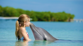 友谊-亲吻海豚的金发小女孩