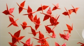 一千只手折纸鹤
