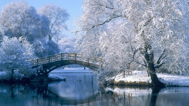 冬季拱桥风光