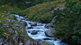 山地小溪河流景观