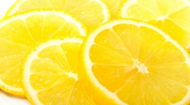 橙色柠檬片水果写真壁纸