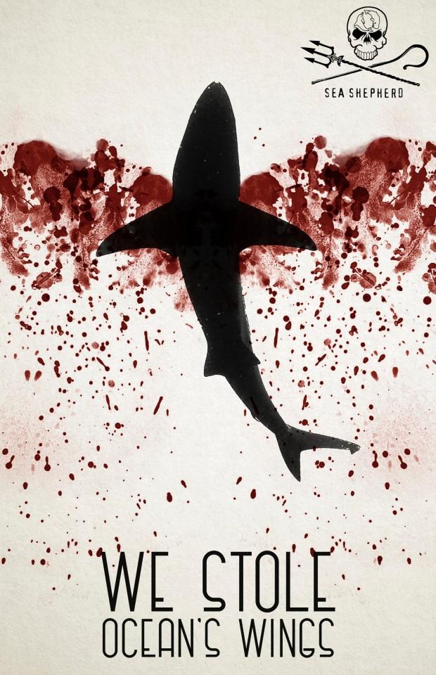 禁止杀害鲨鱼-sea shepherd海洋动物保护公益平面广告