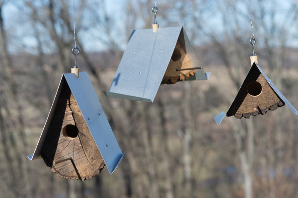 三角形木质鸟巢屋可持续来源的材料制成有一个弯曲金属屋面是一个很好
