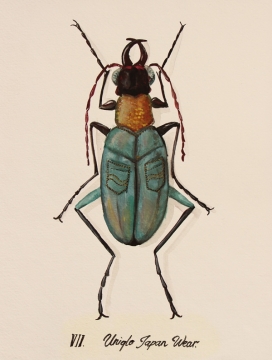 Urban Bugs昆虫插画