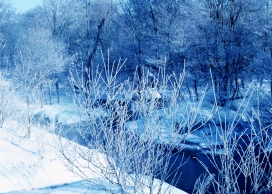 美丽的大雪蓝色景观