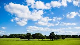 蓝天白云下的绿色田野树木