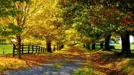 秋天的公园围栏公路