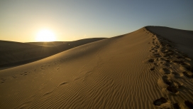 沙漠的小径