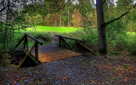 森林桥