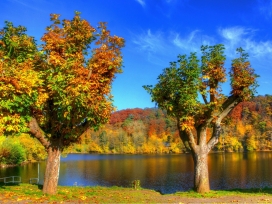 丰富多彩的秋天树河
