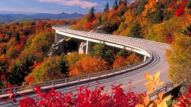 秋天森林弯曲的桥