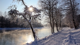 森林雪路美景