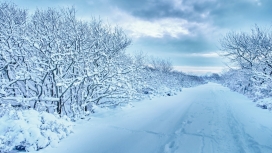 高清晰冬季雪景路