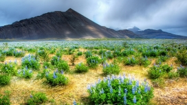 高清晰绿色草垛山丘美景