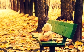 高清晰秋季森林木质扶手椅与熊娃娃壁纸
