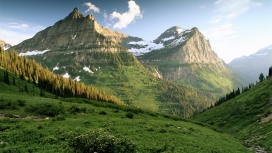 高清晰格莱德山山峰树木