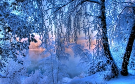 高清晰冬季蓝色白色雪景壁纸下载