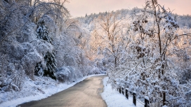 高清晰冬季雪景路壁纸下载