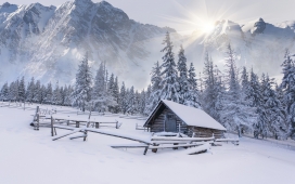 高清晰高山森林下的雪屋美景壁纸