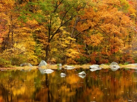橙色的秋天湖