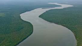南美洲亚马逊河流壁纸