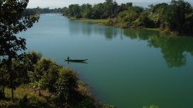 亚洲孟加拉国江水树