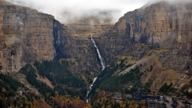 大山瀑布树