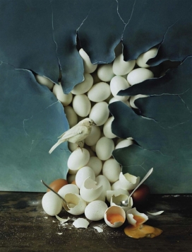蒂姆・沃克腾-VOGUE意大利时尚2015年5月-一个梦幻般以鸟家禽静物为晚餐的社论摄影作品