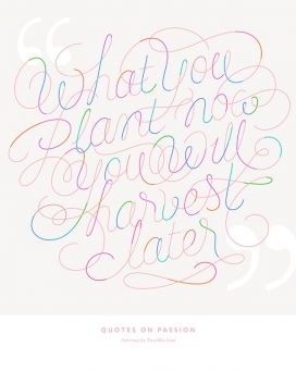 Quotes on Passion-漂亮的流线型花纹字母设计