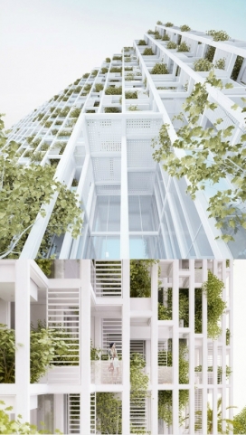 维杰亚瓦达-花园植物村白色公寓建筑-大多数立方金属木材存储系统，阳光窗户有绿色盆景做装饰玻璃，采光充足，美化也不错