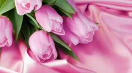 粉红“海蜇”花壁纸