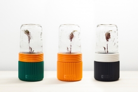 GROWW小温室透明玻璃瓶花盆设计