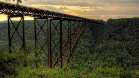 宏伟的跨绿色森林新河峡大铁桥壁纸