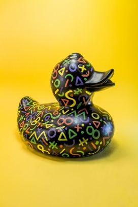 Duck-漂亮的鸭子玩具