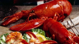 高清晰大龙虾海鲜料理美味美食高清下载