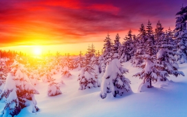 高清晰唯美冬季雪景桌面壁纸下载
